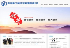 安居城市开发投资集团有限公司