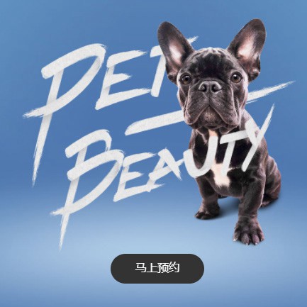 安居宠物中心小程序开发