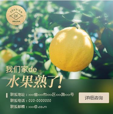 安居果园果林小程序开发